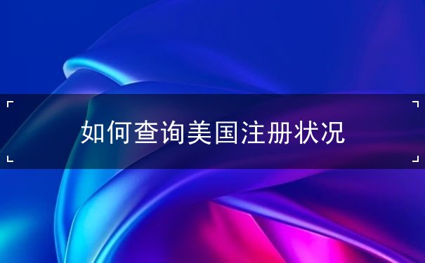 如何查询美国注册状况