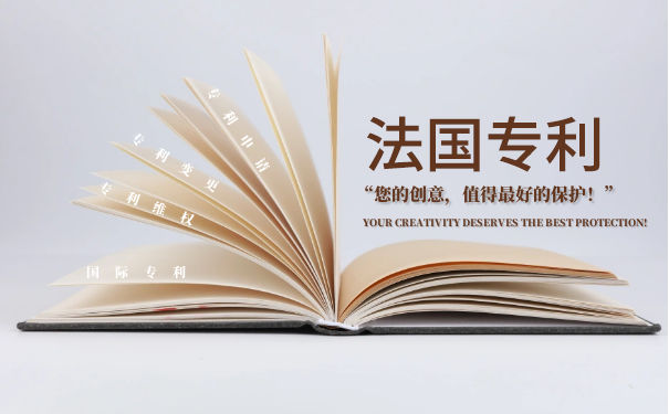 法国专利类型 法国专利类型