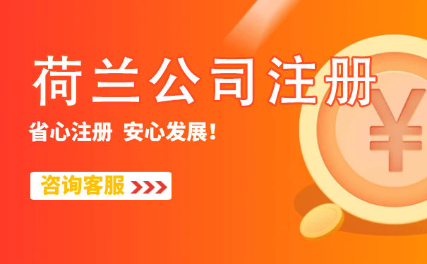 荷兰公司注册的流程