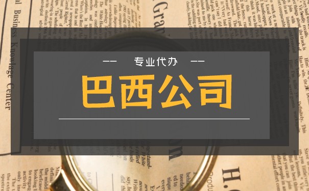 巴西公司代理注册公司流程 巴西公司代理注册公司流程