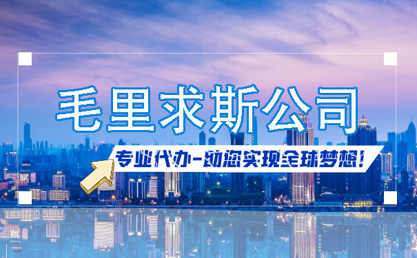 毛里求斯公司注册流程:详解全球企业落地的最佳选择 毛里求斯公司注册流程:详解全球企业落地的最佳选择