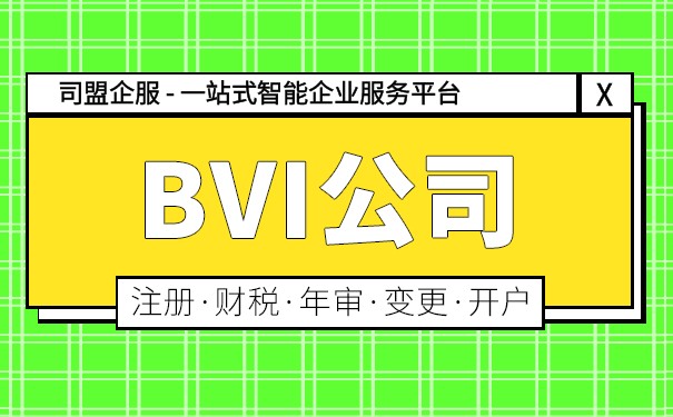 个人BVI公司投资规则：如何在全球范围内实现资产保值增值
