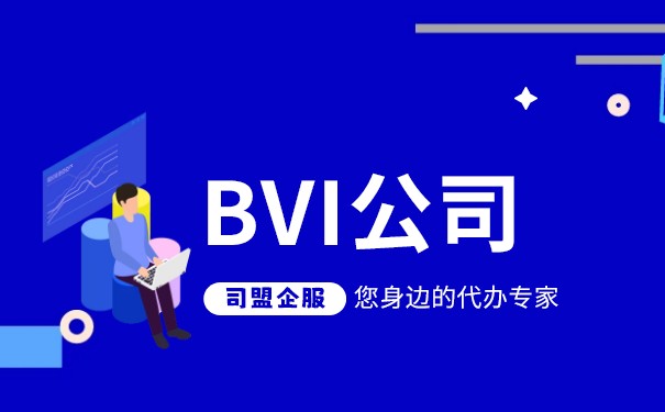 办理BVI公司费用详解,全球最低价,快速注册 办理BVI公司费用详解,全球最低价,快速注册