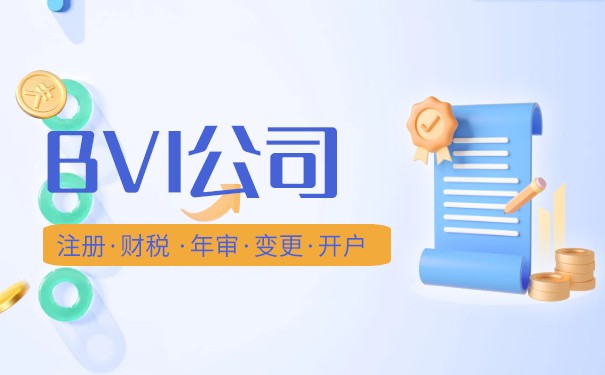 新注册BVI公司流程：详细解析BVI公司注册流程及注意事项