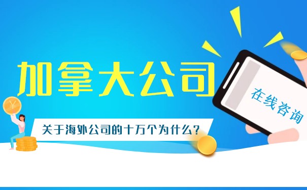 加拿大公司注册，跨境电商企业如何有效布局并洞察消费者行为