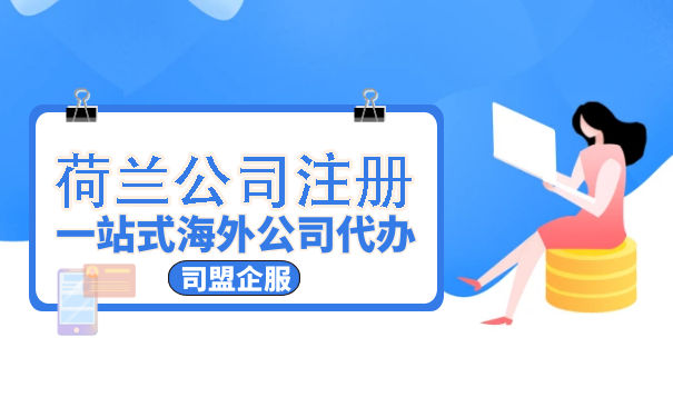 荷兰公司注册全攻略：优势、类型选择与后续管理全解